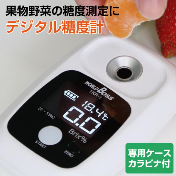 xv fW^ ʎl [P[X Jrit TKR-1 ʕ  ʏ` Â XR[L