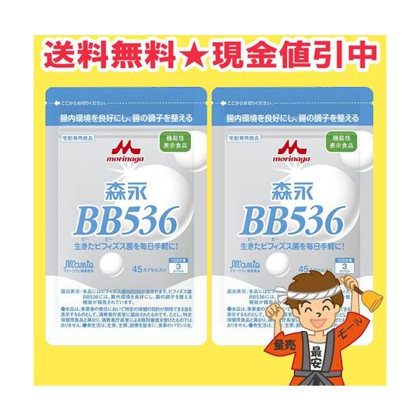 rq_X rtBYX BB536 Tvg 45 2i13×30jXi K̔X y|XgzikCEkEꏜj