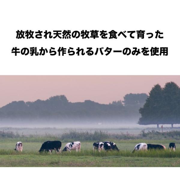 ギー イージー ココナッツ 200ｇ 1個 バターコーヒー Eu オーガニック 認証 グラスフェッドバター 有機 送料無料 北海道 東北 沖縄除く Buyee Buyee Japanese Proxy Service Buy From Japan Bot Online