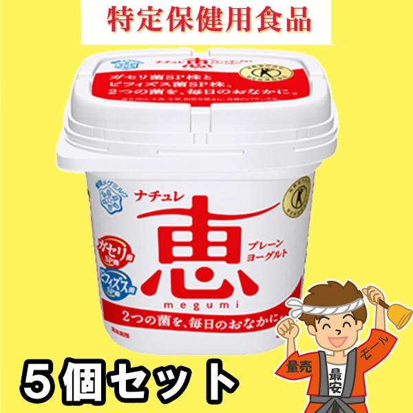 KZ rtBYX SP i` [Og 400g×5 b megumi 󃁃O~N N[֔zydʁ 2.5kgz