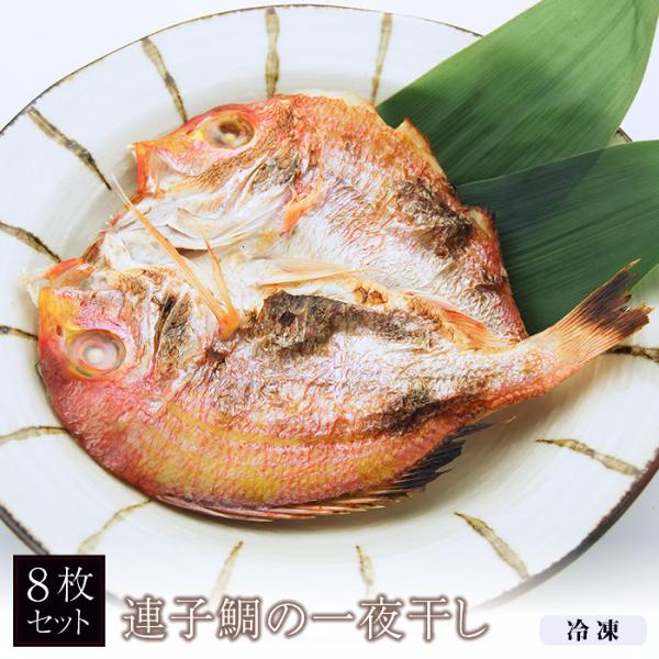 連子鯛の一夜干し 8枚 ビニール袋入　　　冷凍 レンコダイ 干物 贈り物 ギフト お歳暮 プレゼント 長崎産　博多ふくいち