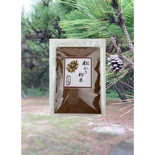 松ぼっくり2 hakata-marche2_matukasa-01