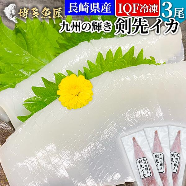 長崎県産 九州の輝き 剣先イカ ヤリイカ いか 急速冷凍iqf 3尾 230 260g前後x3尾 イカ 刺身 烏賊 バラ凍結 お取り寄せ グルメ ビール 冷凍 おつまみ 送料別 Ika Iqf3 博多魚匠 通販 Yahoo ショッピング