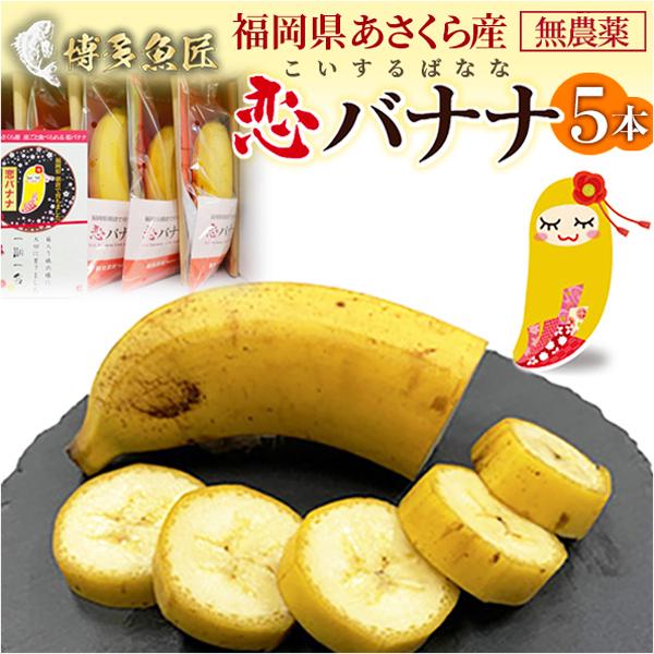 国産 恋バナナ 5本 福岡県産 果物 朝倉産 無農薬 産地直送 恋するバナナ 送料無料