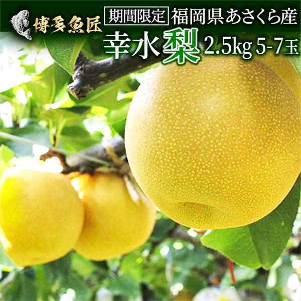 幸水梨 梨 福岡県産 果物 朝倉産 期間限定 送料無料 産地直送 Kousui 2k 博多魚匠 通販 Yahoo ショッピング