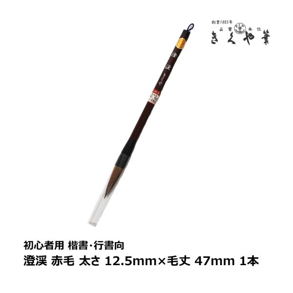 きくや筆本舗 書道筆 太筆 澄渓 赤毛 (太さ 11mm×毛丈47mm) かため