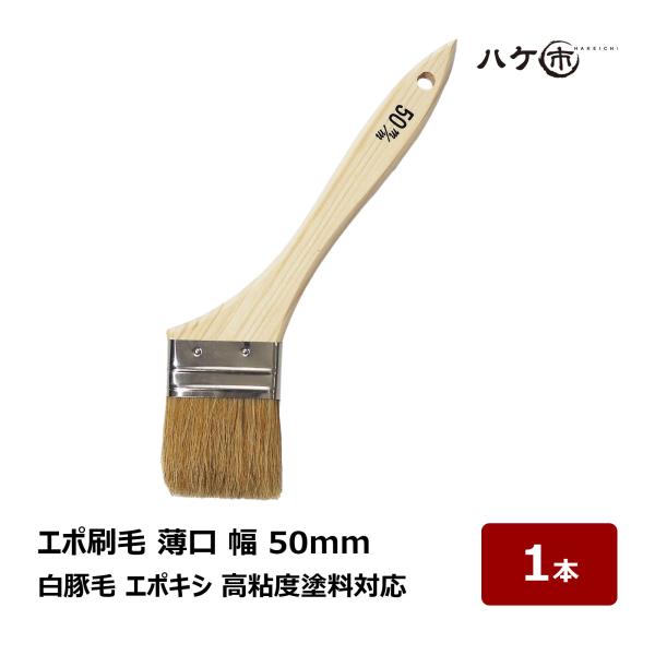 エポ刷毛 白豚毛 薄口タイプ 50mm 1本｜刷毛 ハケ 土間用 細部 防水