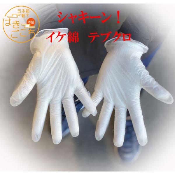 {  R hL ₦΍   ĂԂ Mtg L  q euN h~ qpi O[u 