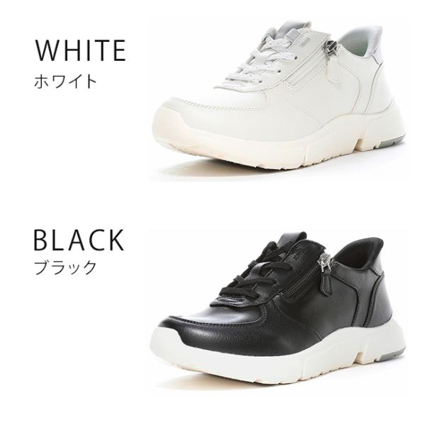 hakimonohiroba_tb-eve-334_2_d_20260323121058