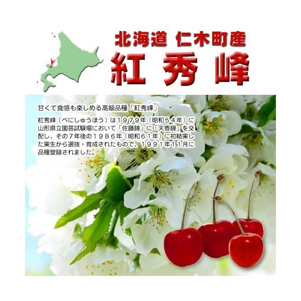 【予約受付中!!7月中旬頃発送予定】さくらんぼ　紅秀峰　500g  北海道　仁木町産　