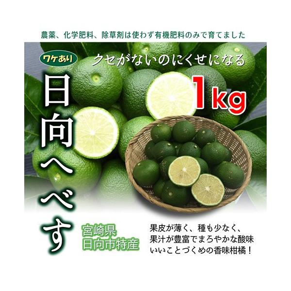 宮崎県産 へべす 3キロ S〜Lサイズ 宮崎県産 へべす 3キロ M〜Lサイズ B品 - メルカリ