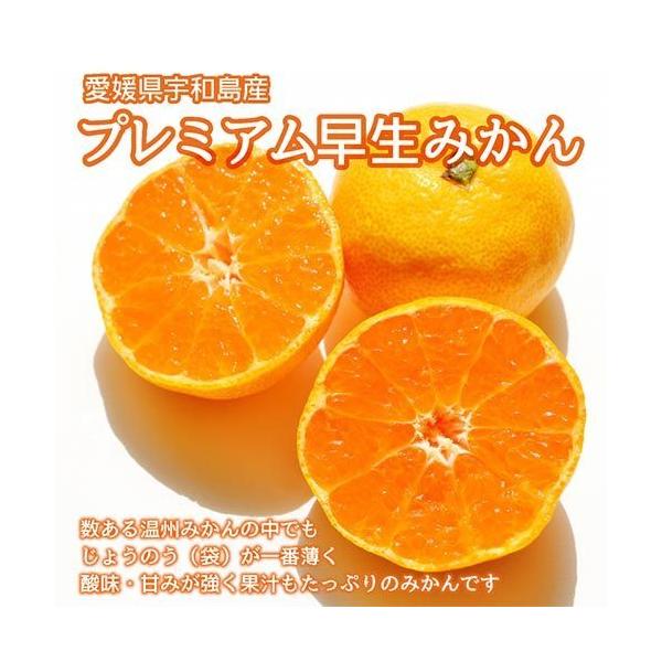 Q FaY@v~A݂ 4kg@TCY(S`MTCY) Mtg@Ε@j@@@