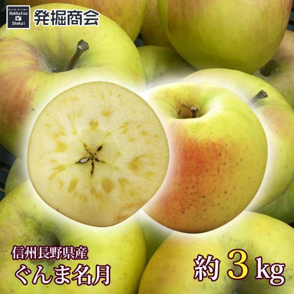りんご ぐんま名月 約3kg 2024年収穫 信州 長野県産 期間限定