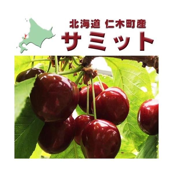 さくらんぼ サミット 1kg 北海道 仁木町産 大きさミックス Buyee Buyee Japanese Proxy Service Buy From Japan Bot Online