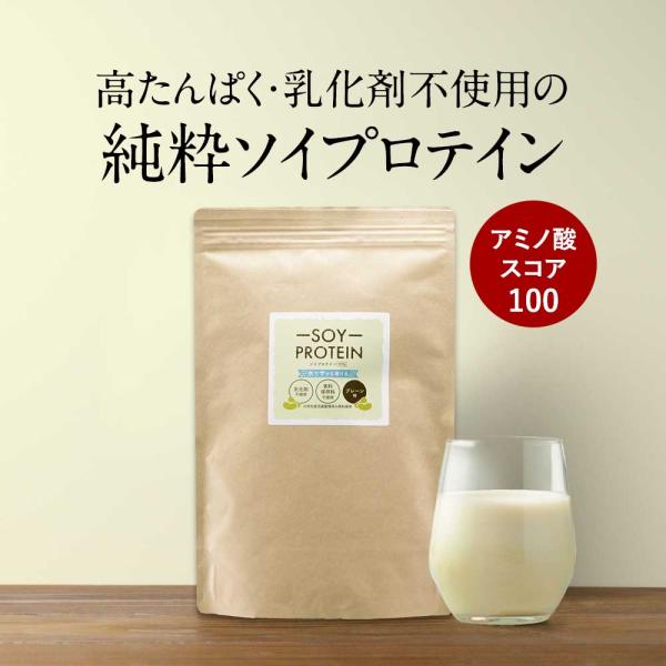 ソイプロテイン 400g 人工甘味料不使用 ノンフレーバー アミノ酸スコア100 高タンパク