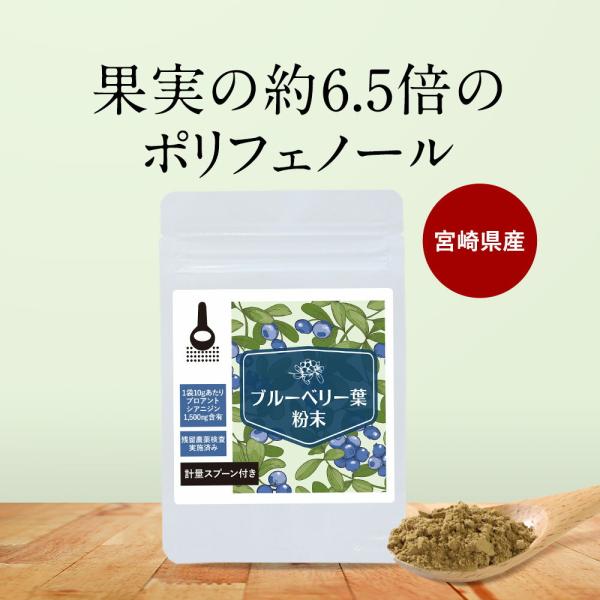 ブルーベリー葉 粉末 パウダー 10g ポリフェノール アイケア 美容 健康 宮崎県産