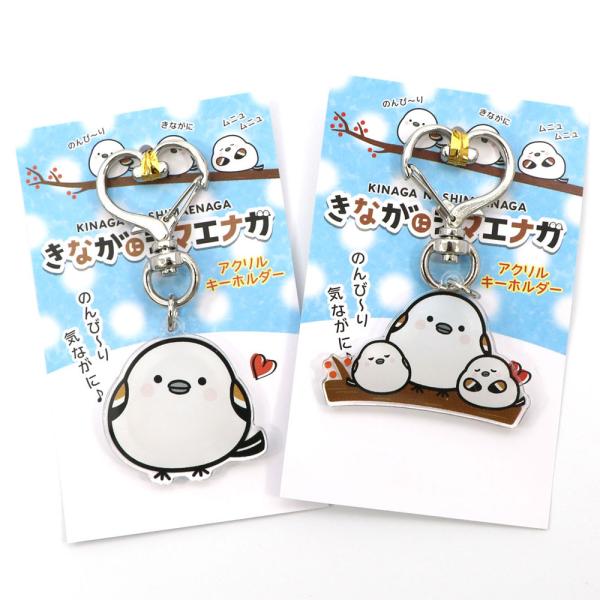 hakodate-e-kombu_simae-kinaga-