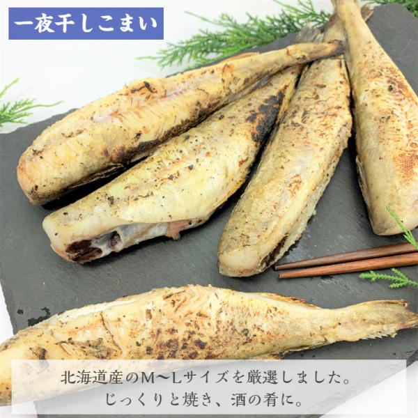 生干しこまい 1kg 北海道産 コマイ 干物 一夜干し 氷下魚 干し魚 真空パック Buyee 日本代购平台 产品购物网站大全 Buyee一站式代购 Bot Online