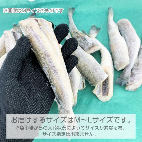 生干しこまい 1kg 北海道産 コマイ 干物 一夜干し 氷下魚 干し魚 真空パック Buyee Buyee Japanese Proxy Service Buy From Japan Bot Online