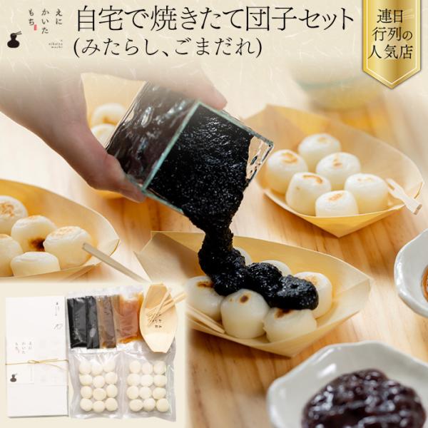 家団子 みたらし 2食 ごまだれ 2食 セット 団子 お取り寄せ 餅 冷凍 国産 えにかいたもち 北海道 取り寄せ スイーツ 和菓子 ギフト 贈り物 贈答