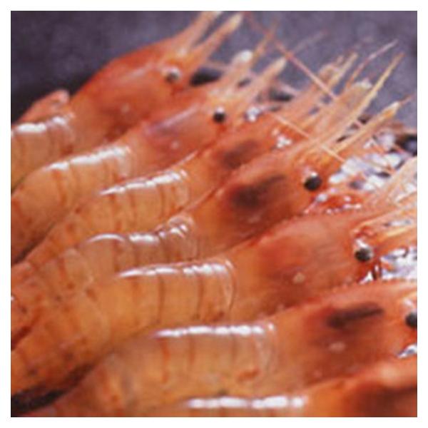 カネニ 北海ボタンエビ 500g Sagaretxe Net