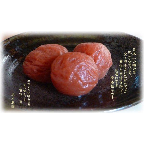 紀州南高梅干ししそ漬1kg入 : なおこの梅干蔵-箱木農園Yahoo!店