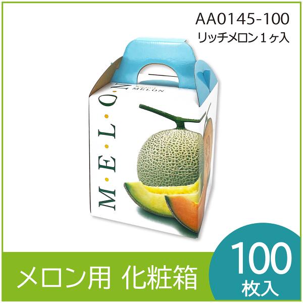 メロンギフト用化粧箱　リッチメロン １ヶ入 　手提箱　果物箱　プレゼントボックス　贈答ケース　パッケージ　包装資材　発送箱　中敷付　100枚入 （AA0145）