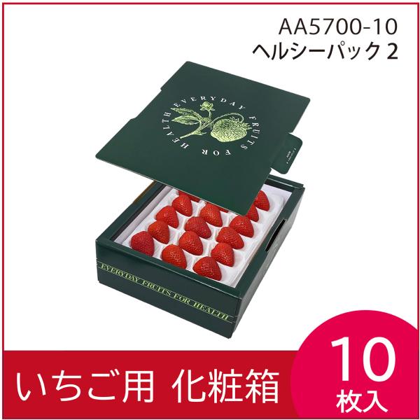 いちごギフト用化粧箱　ヘルシーパック2　果物箱　プレゼントボックス　贈答ケース　パッケージ　包装資材　発送箱　500g×2パック　10枚入（AA5700）