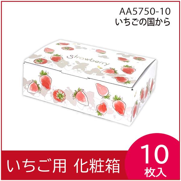 いちごギフト用化粧箱　いちごの国から　果物箱　プレゼントボックス　贈答ケース　苺　300g×2パック　包装資材　パッケージ　10枚入　（AA5750-10）