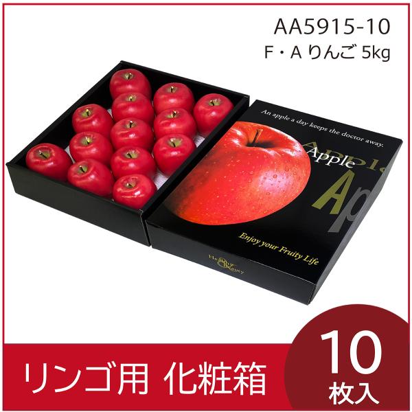 リンゴギフト用化粧箱 F・Aりんご5kg 果物箱 プレゼントボックス
