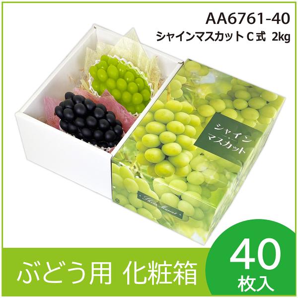 �u�h�E�E�V���C���}�X�J�b�g�M�t�g�p���ϔ��@�V���C���}�X�J�b�g C�� 2kg�@�ʕ����@�v���[���g�{�b�N�X�@�����P�[�X�@����ށ@�p�b�P�[�W�@40�����@�iAA6761�j ���i�摜