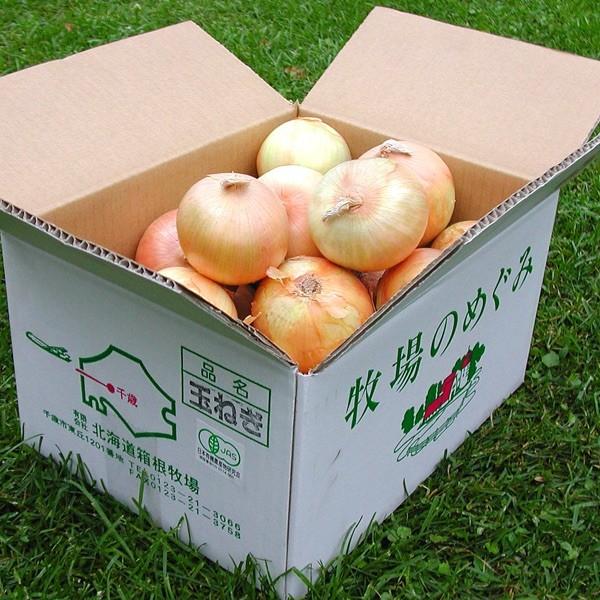 ようやくご案内できました！今年はじゃがいも同様、春先からの高温及び干ばつで収量が大幅に減少、さらに葉枯れが例年にないほど早くになってしまい、大変過酷な年となりました。品質的には問題ないのですが、全体的に小粒でサイズが小さいものが多くなってし...