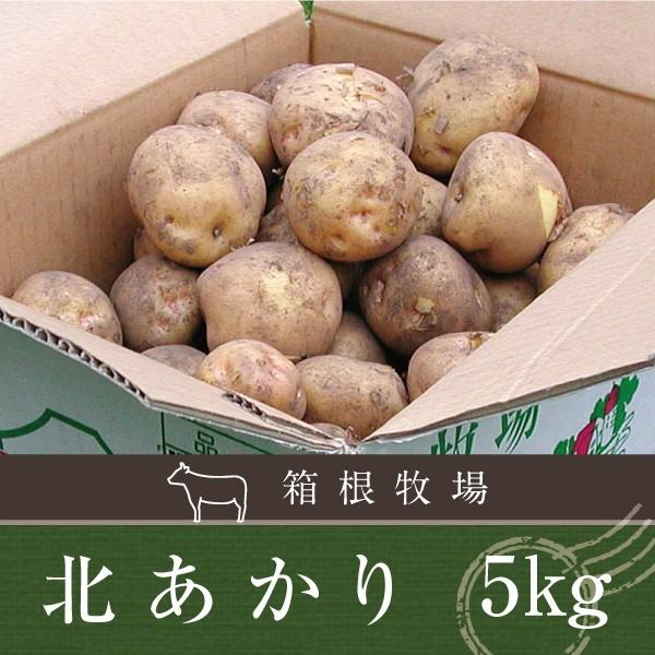 野菜 じゃがいも 北海道産 北あかり キタアカリ M〜2L 5kg