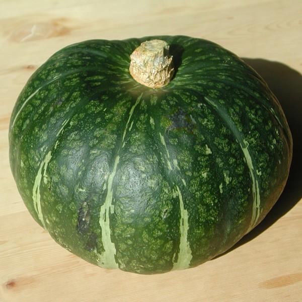 野菜 かぼちゃ 北海道産 　南瓜 ５玉入 ８kg 　有機栽培