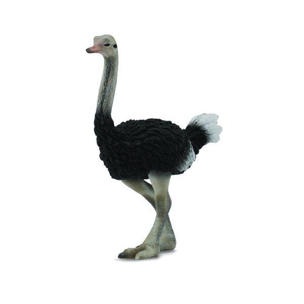 コレクタ／COLLECTA 88459 ダチョウ 動物フィギュア : 動物フィギュア