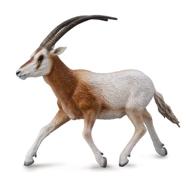 コレクタ／COLLECTA 88637 シロオリックス 動物フィギュア : 動物