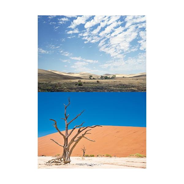 [Z]WI}V[ge fU[g02ij@wiV[g@2p^[@1