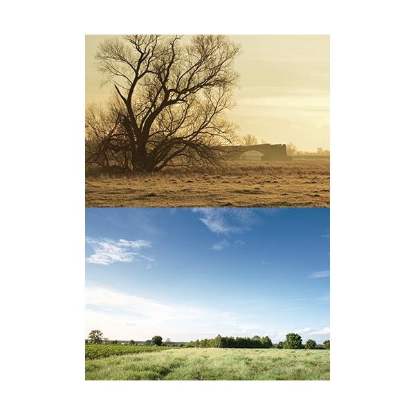 [Z]WI}V[ge tB[h01@wiV[g@2p^[@1