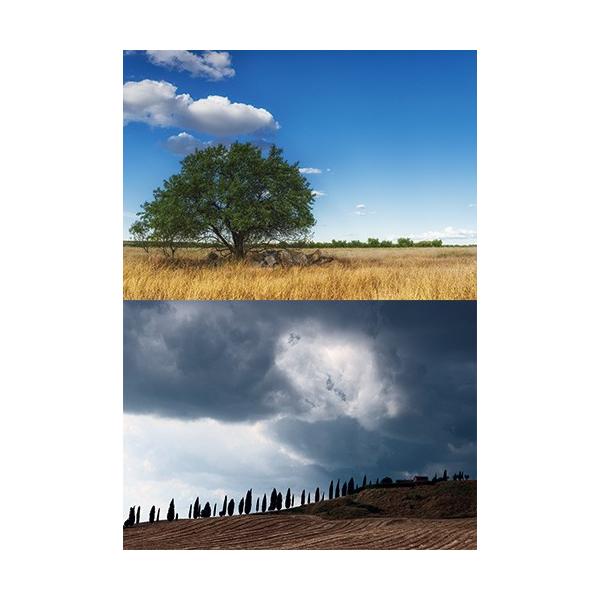 [Z]WI}V[ge tB[h02@wiV[g@2p^[@1