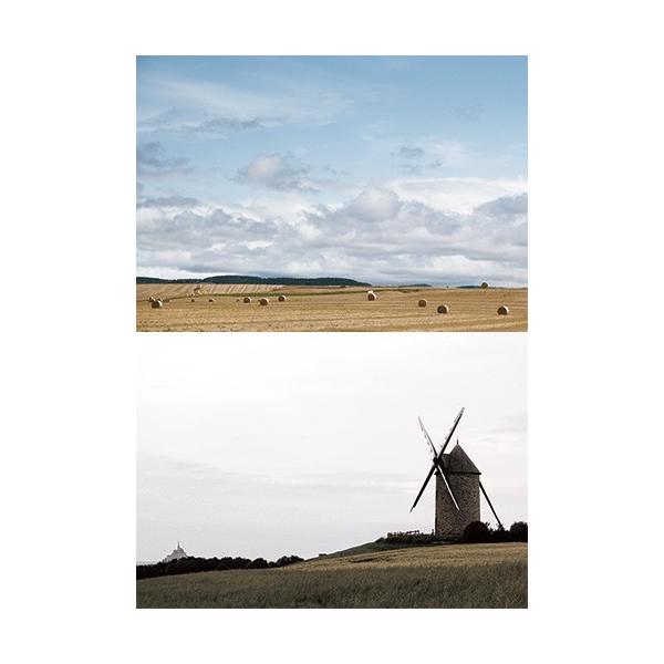 [Z]WI}V[ge tB[h04 wiV[g@2p^[@1