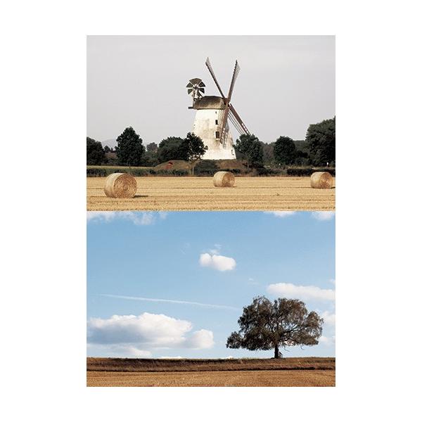 [Z]WI}V[ge tB[h05 wiV[g@2p^[@1