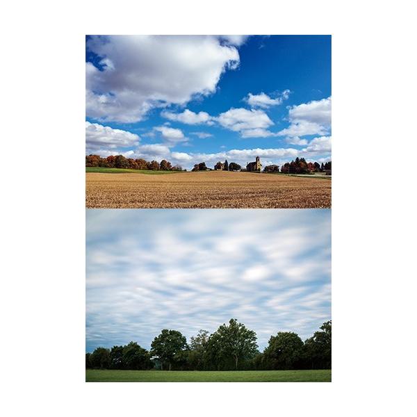 [Z]WI}V[ge tB[h06 wiV[g@2p^[@1