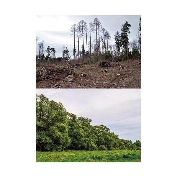 [Z]WI}V[ge tHXg02iXj  wiV[g@2p^[@1