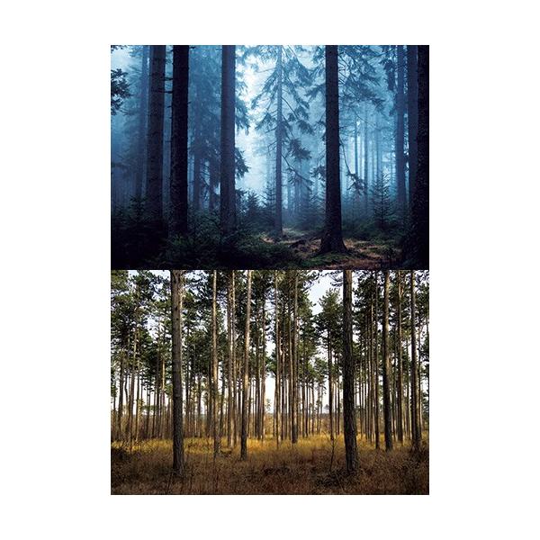 [Z]WI}V[ge tHXg03iXj  wiV[g@2p^[@1