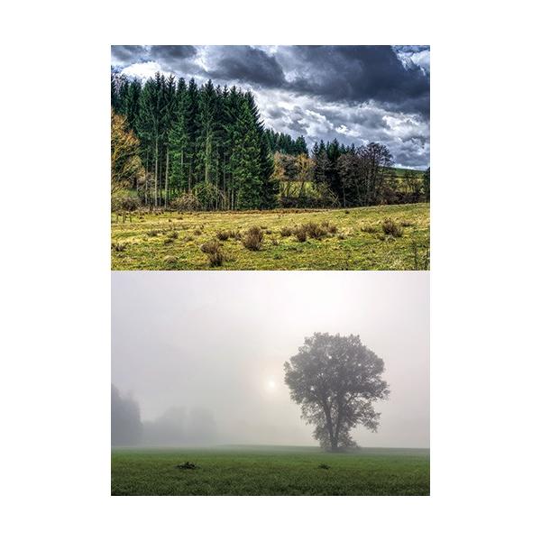 [Z]WI}V[ge tHXg04iXj  wiV[g@2p^[@1