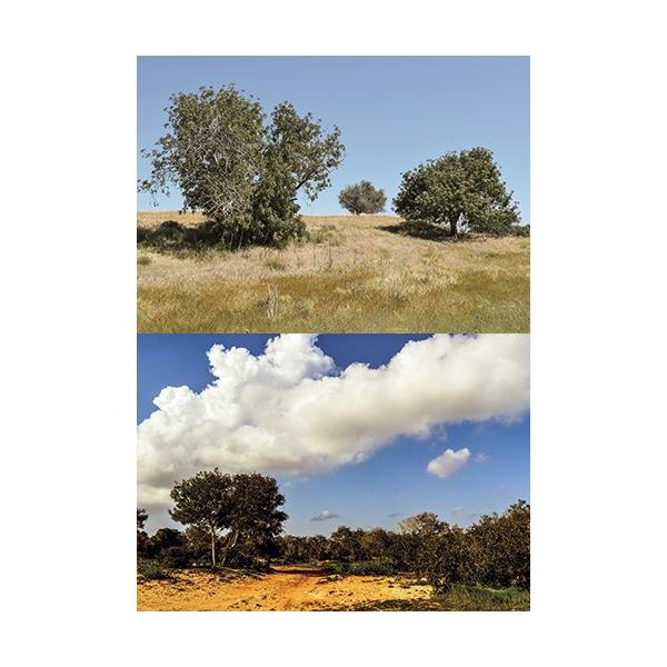 [Z]WI}V[ge tHXg06iXj  wiV[g@2p^[@1