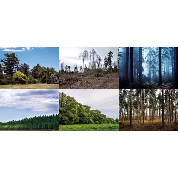 WI}V[ge tHXgZbgA X wiV[g 3 430x302mm Z