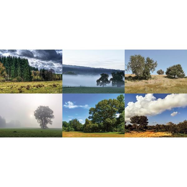 WI}V[ge tHXgZbgB  X wiV[g 3 430x302mm Z