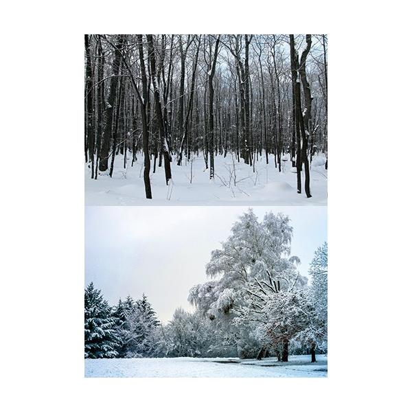 [Z]WI}V[ge EB^[02 (~j wiV[g@2p^[@1