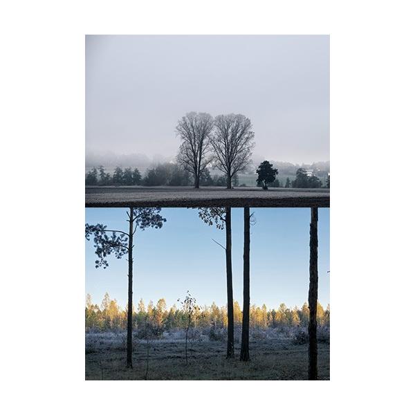 [Z]WI}V[ge EB^[03 (~j wiV[g@2p^[@1